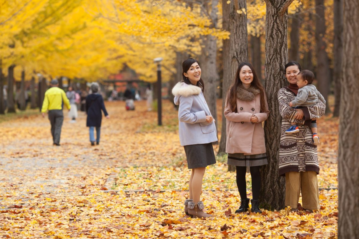 人物・ポートレート：作例ギャラリー - WeDOK