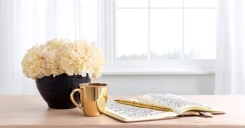 ウィドックのゆるふわ秘書の白石理紗です