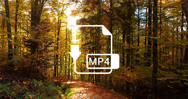 MP4動画のポップアップ - WePOP