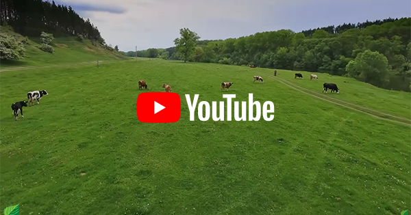 Youtube動画のポップアップ - WePOP